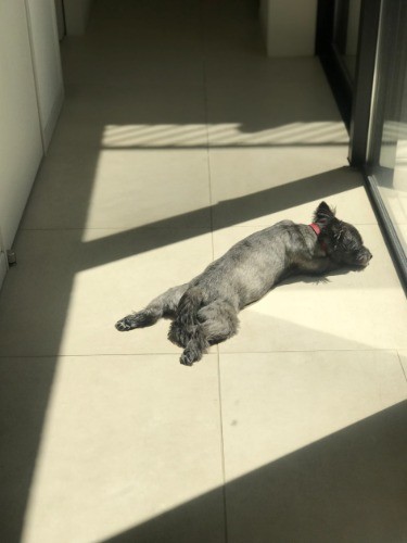 いつでも心地いいところを知ってます