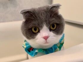 かねてからの夢を実現すべく迎えたスコ「ももたろう」　“親の心”を教えてくれた