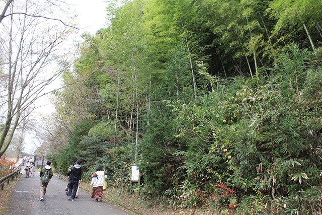 丘陵にある園内には、まだ所々に竹林が残る