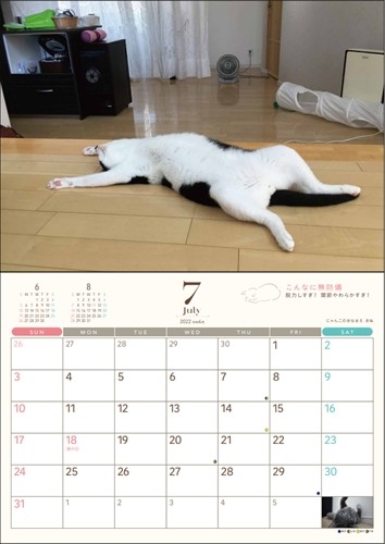 ７月、暑い季節のへそ天（へそ天プロジェクト提供）