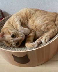 遊んで食べて、あとは寝るだけ