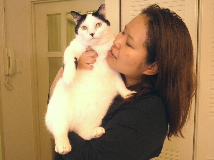 ママさんはメロメロ