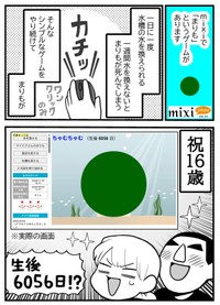 【漫画】『mixiのゲーム「まりも」』1（きくまきさん提供）