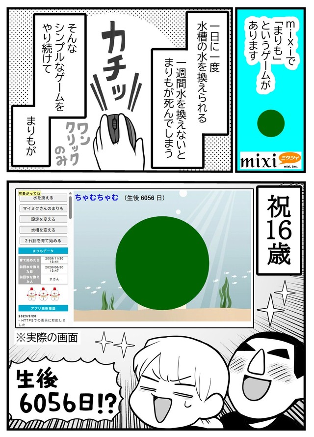 【漫画】『mixiのゲーム「まりも」』1（きくまきさん提供）