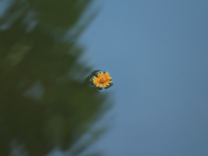 自分を好きになるって？10キロ痩せて見えたこと