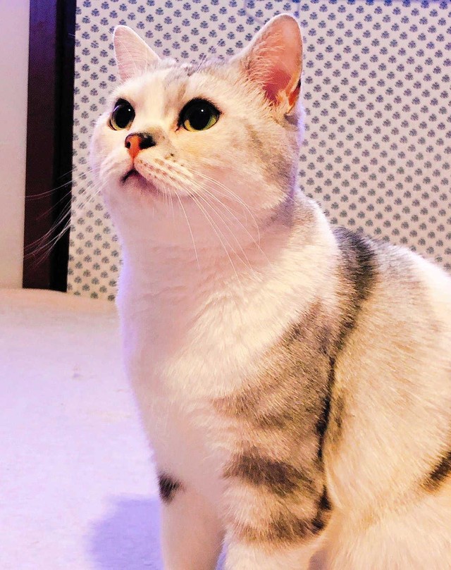 とろろはお目目キラキラ美人さん