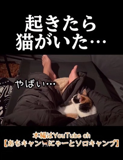 ソロキャンプ中、起きたら猫がいた！なぜ？（「あちにゃ〜」さん提供、Instagramよりキャプチャ撮影）