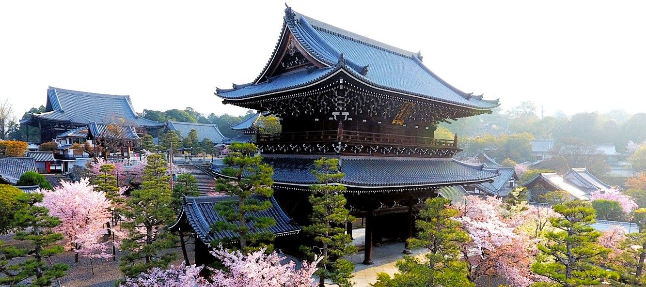 京都の金戒光明寺の山門を中層あたりの高さで遠くから撮影した写真。左奥には本堂、手前の下に桜が咲いているのが見える