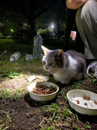 ごはんを食べに来ていた頃＝雨と雪さん（@63NiY6yY7YDHiYk）提供