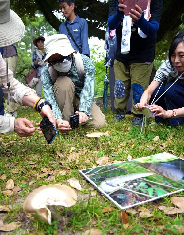 京都御苑きのこ会活動５０年