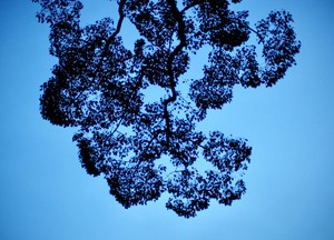 藤巻亮太の旅是好日　読書体験ついての「取り留めのない」話