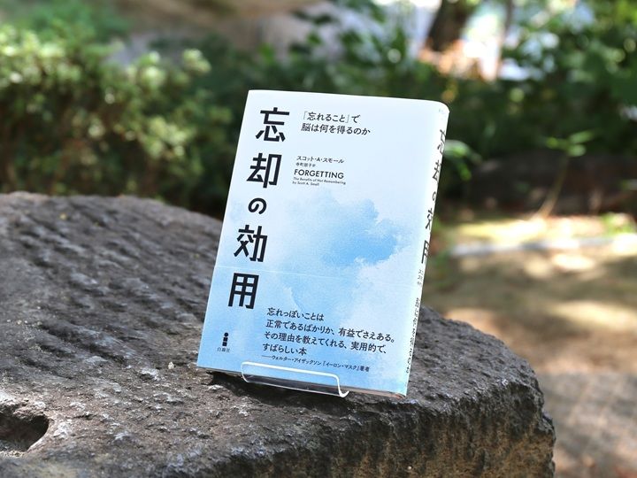 スコット・A・スモール『忘却の効用――「忘れること」で脳は何を得るのか』（白揚社、寺町朋子 訳、2024年）