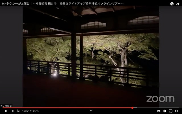 オンラインツアーのため特別にライトアップされた青もみじ（提供画像）