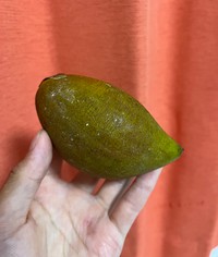 卵の黄身のような食感からエッグフルーツとも呼ばれる果物カニステル（さとかつさん提供）