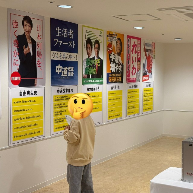各党のポスターや主張を見るペイの実さんのお子さん（ペイの実さん提供）