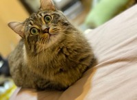 僕がれむです（提供写真）