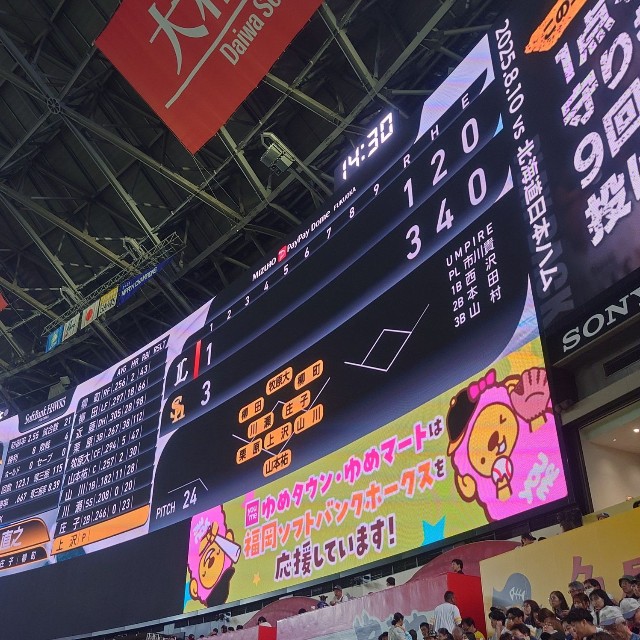 直前まで気分よく野球観戦していたのに…（いそかぜさん提供）