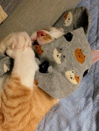 「これは僕のもの」（ふみさん提供）