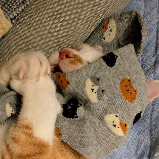 「これは僕のもの」（ふみさん提供）