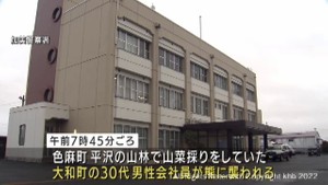 宮城・色麻町の山林　山菜採りの男性が熊に襲われ軽傷