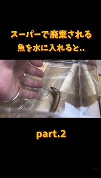 首元を小さく振るような動きが見られた（「エマスちゃんねる / EMAS CHANNEL」さん提供、Instagramよりキャプチャ撮影）