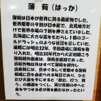 こちらが話題の解説文（大西里枝さん提供）