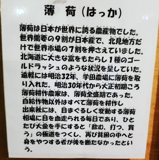 こちらが話題の解説文（大西里枝さん提供）