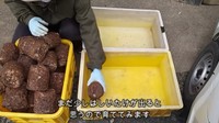 素人ながらに栽培してみることに／投稿主さん提供