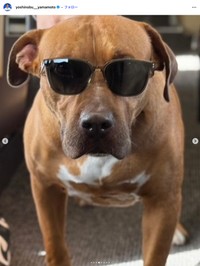 ドジャースの山本由伸選手の公式インスタグラムから