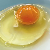黄身の鮮やかさと白身の透明感が見事に表現されています。 ※Yasさん提供