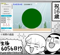 16年育て続けたまりも（きくまきさん提供）