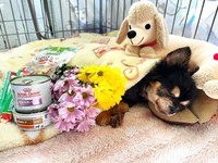 スタッフから受けた愛情を思い浮かべながら穏やかに寝ているようにも見えます