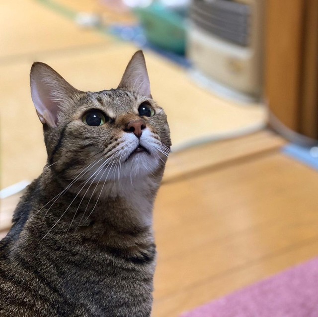 どこかあどけなさの残る顔