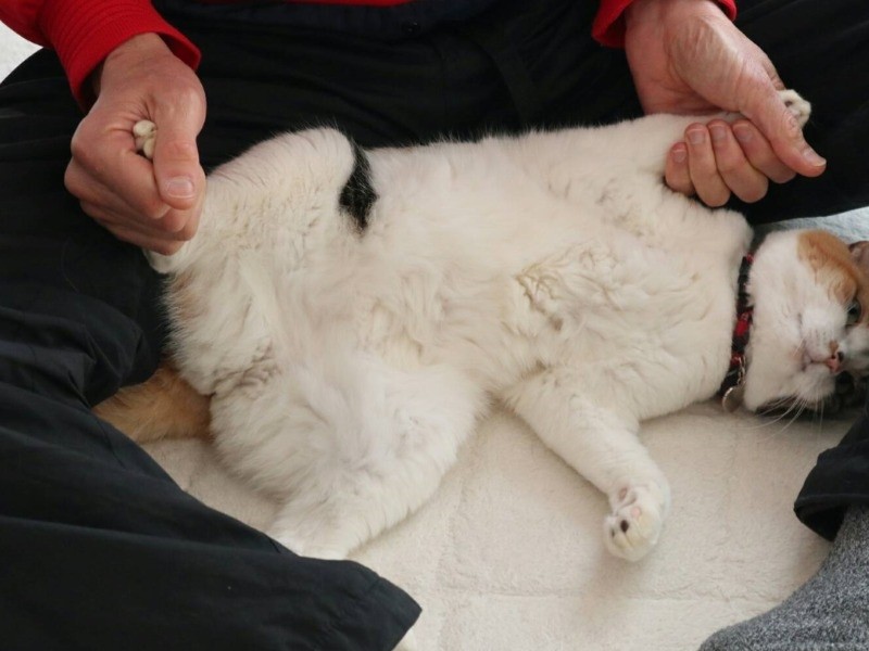 身も心も委ねています「パパ大好き」