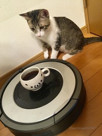 コーヒー・ルンバに興味津々のわちょさん