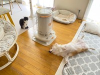 ストーブのそばでぬくぬく（画像提供：ばなななさん）