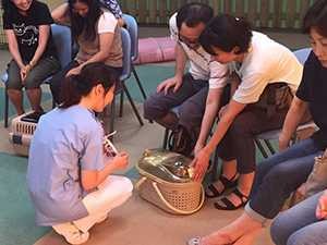 猫の移動ストレスを減らすため、キャリーに慣らして