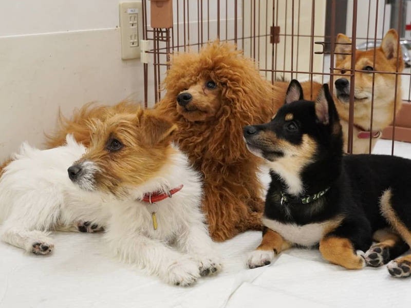 みんなで何見てるの？（UG提供）