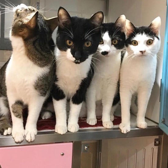 おとなになるまで施設（ミグノン）にいました　（一番左がニア、３番目がジョー）当時の名前は別とヒゲ（提供写真）