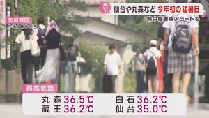 仙台などで今年初の猛暑日　宮城県に熱中症警戒アラート