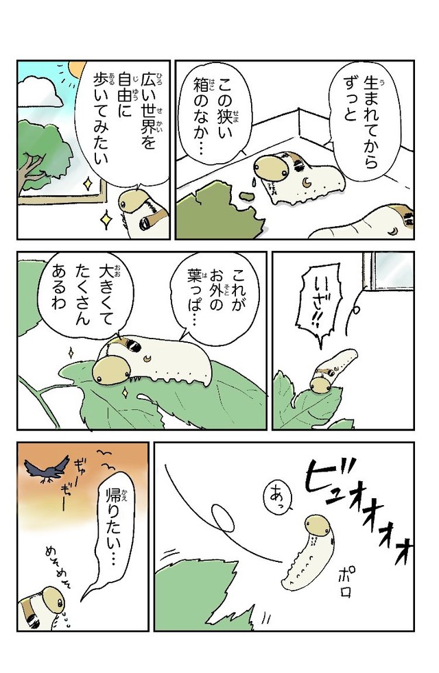 しらかわさん初の著者初の著書『マンガで見る「イモムシ」の生きざま』より（しらかわあすかさん提供）