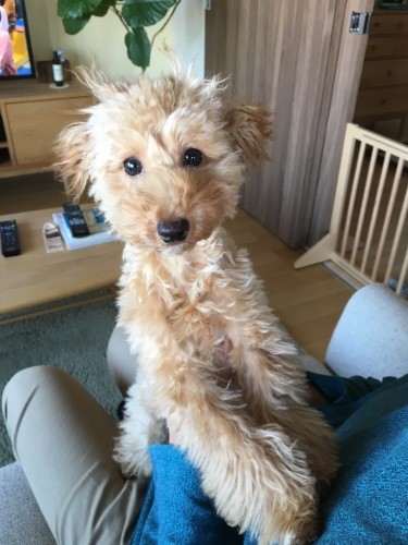 お泊まり後、自信がついてイキイキとした表情に！（提供：お母さん）