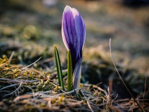 勉強はできても自己卑下していた私が新しい世界で見つけた本当の学びと自信