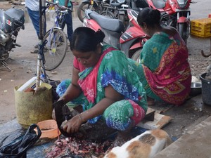 「死にゆく湖」に海水呼び込み漁獲7倍　インド・チリカ湖岸で続く「賢明な利用」の努力