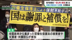 旧優生保護法の問題をめぐり全国の被害者らが全面解決を求め東京で集会　仙台市の被害者も参加