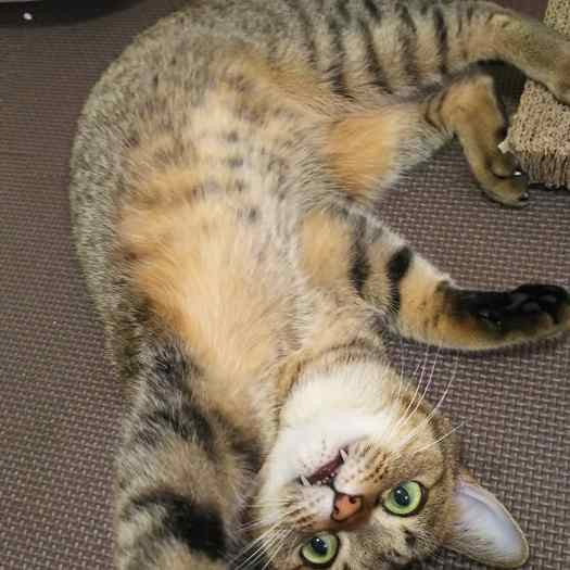 自由奔放なつむぎちゃん