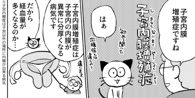 現在は単純型子宮内膜増殖症なので、異型に進行したら治療の対象になる（春日サブスカさん提供）