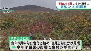 栗駒山　気温低下でようやく紅葉進み見ごろに　期間限定バスは運行延長