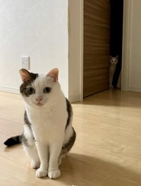 後ろからこっそり観察されることも！