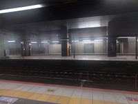 ホームの先を眺めていると…（たもんまるさん提供）